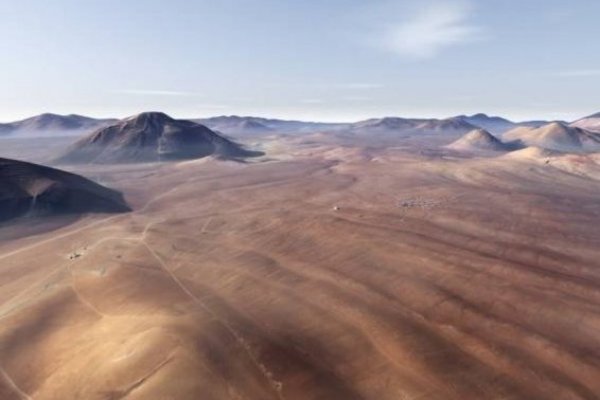 Los guardaparques esperan que a partir de la segunda quincena de septiembre se pueda tener una mayor floración.