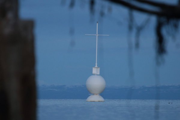 El homenaje de Juan Francisco Lecaros a Shackleton