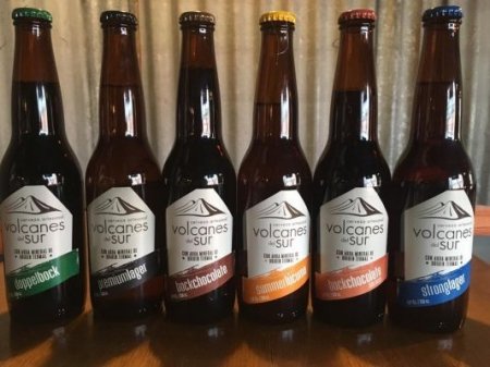 Chilena CCU hace apuesta por la cerveza artesanal y adquiere marca