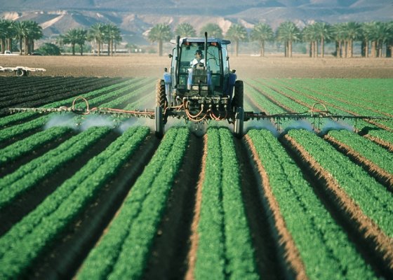 El último activo que le quedaba por vender a Inversiones Norte Sur
