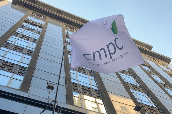 Acción de CMPC: la favorita del mercado post plebiscito