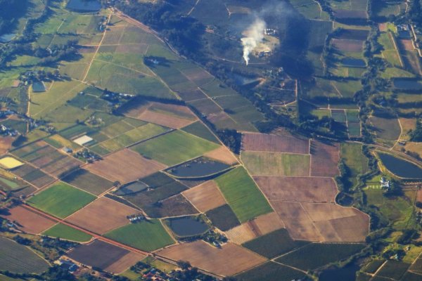 Agricultura responde a inmobiliarias en la Corte y SAG detalla hallazgos en fiscalizaciones a parcelaciones rurales
