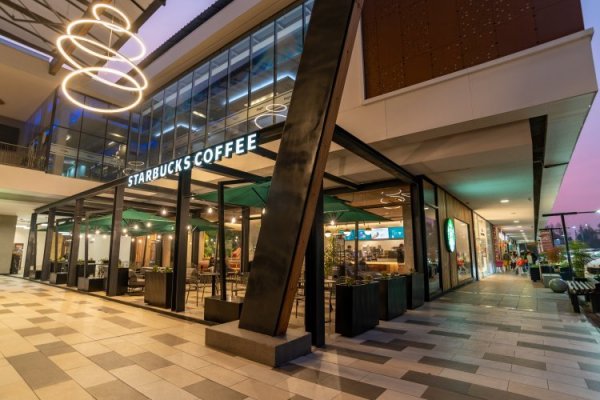 <p>Alsea planea abrir 200 Starbucks en México</p>