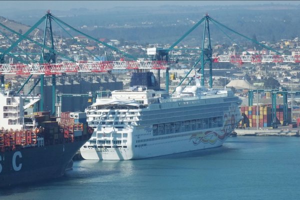 Rubro de cruceros se reactiva ante la espera de más de 300 mil turistas para esta temporada
