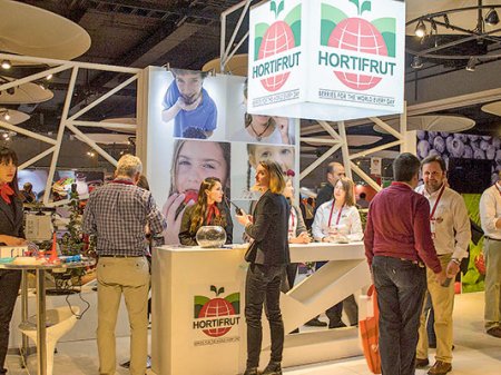 Chilena Hortifrut informa deterioro de US$ 55 millones en plantaciones y alerta posible incumplimiento de covenant