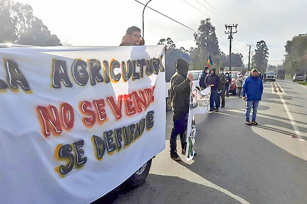 Trabajadores del grupo lechero Chilterra se movilizan en planta de Prolesur y piden mejores precios