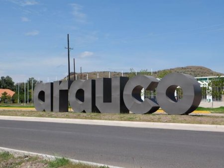 Chilena Arauco invertirá US$ 235 millones para construcción de nueva línea de producción en México