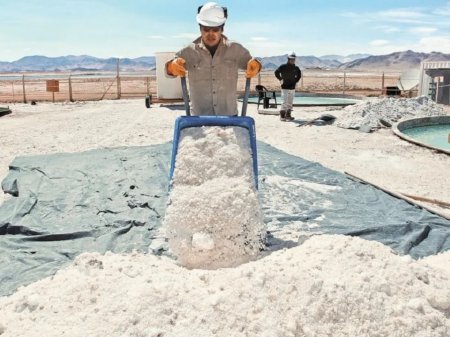 Litio estratégico: los detalles del acuerdo que cerraron Argentina y Bolivia