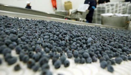 Incertidumbre regulatoria en Perú deriva inversiones en agroexportación a Chile y Colombia