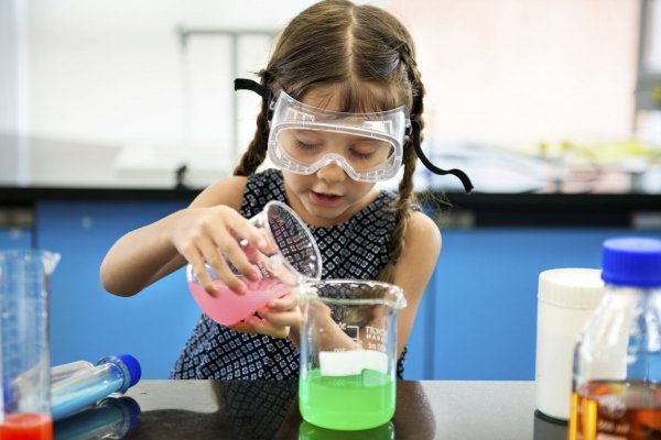Más allá del aula: las plataformas que encienden la chispa STEM