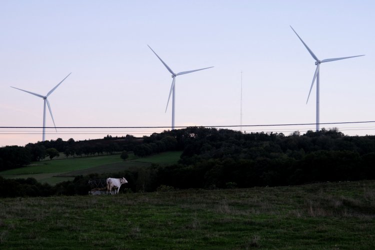 <p>Energética brasileña Copel compra dos parques eólicos de portuguesa EDP en operación de más de US$ 344 millones</p>