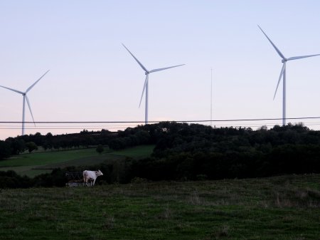 Energética brasileña Copel compra dos parques eólicos de portuguesa EDP en operación de más de US$ 344 millones