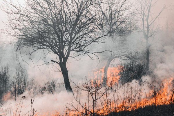 Los países isleños podrían reducir hasta en 33% la mortalidad en caso de catástrofe.