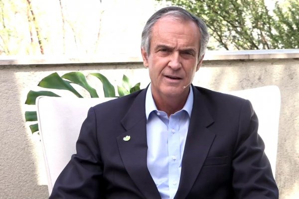 <p>Presidente de CMPC: “Si vendiéramos todos los pedidos que tiene la Conadi el problema sería resuelto en un quinto. Para el resto hay que pedirle la tierra a otra gente”</p>