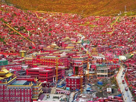 Atacama-Sichuan: La ruta de SQM para aterrizar en China