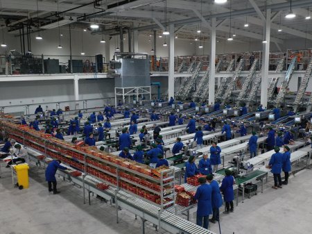 Exportadora de cerezas chilena Prize se convierte en la primera empresa local en listarse directamente en el Nasdaq