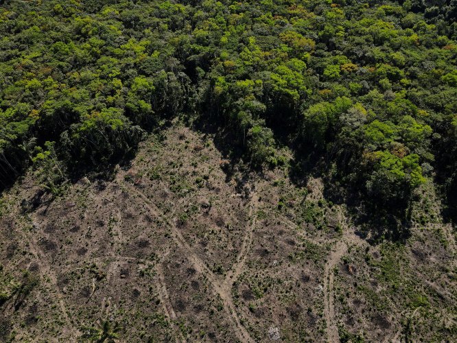 <p>Presidenciales en Brasil aceleran carrera por la deforestación en la Amazonía</p>