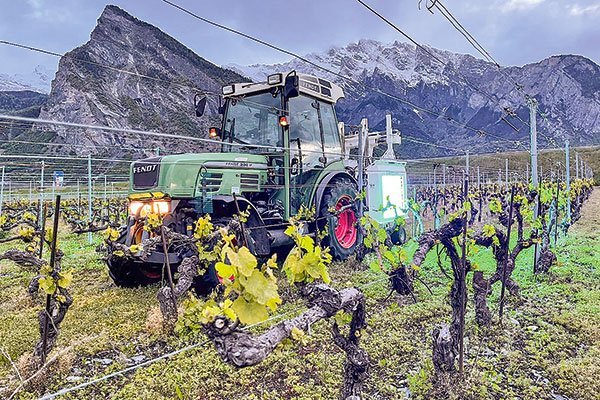 UVBoosting, que mejora la resistencia a la agresión en las plantas, será testeada en viñas de Concha y Toro.