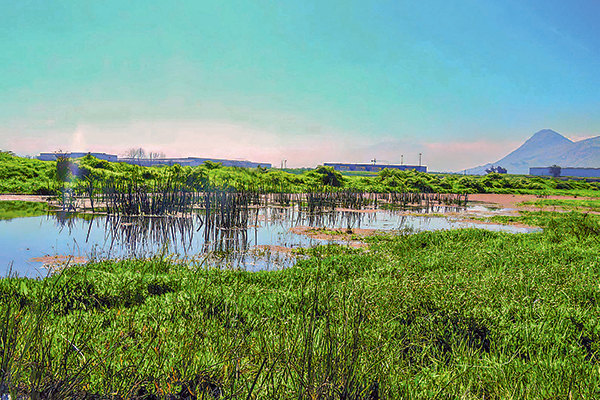 <p>Segundo Tribunal Ambiental da marcha atrás a declaración de humedal en Quilicura tras reclamos efectuados por empresas</p>