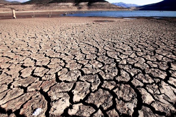 Se espera que en la próxima COP27 que parte este domingo, se aborde el financiamiento para adaptación.