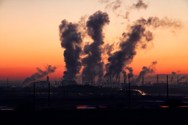 Las plagas de las que se hablará en Egipto en la COP 27
