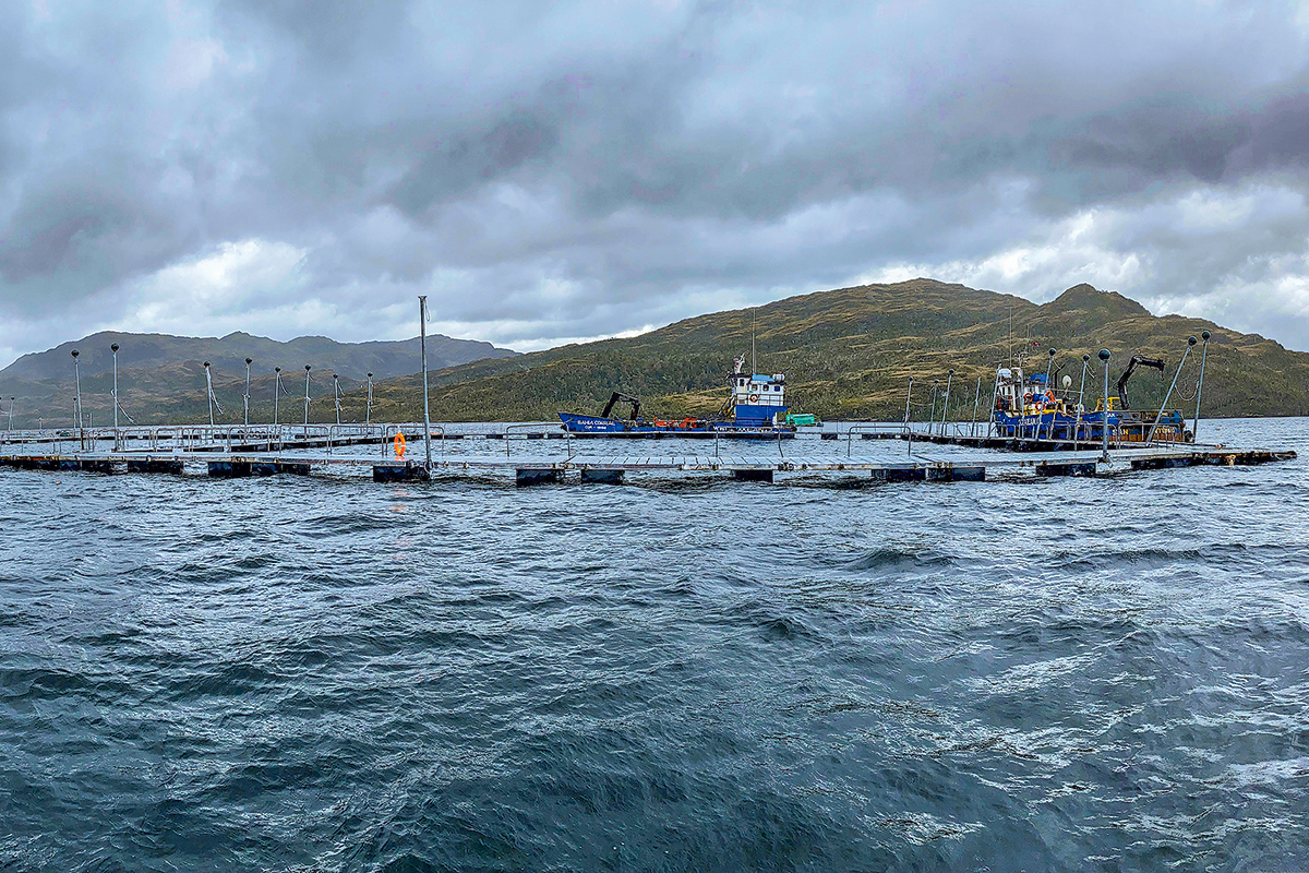 <p>Documental de Nat Geo denuncia prácticas de salmoneras que perjudicarían a comunidades kawésqar</p>