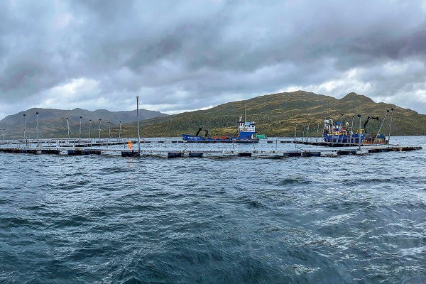 Documental de Nat Geo denuncia prácticas de salmoneras que perjudicarían a los kawésqar