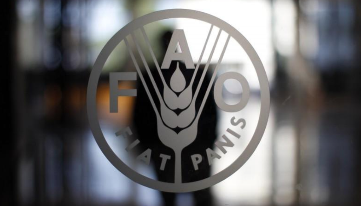 FAO pide en la COP27