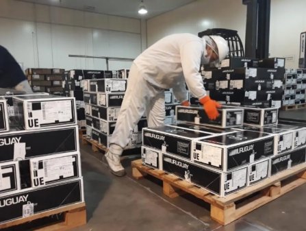 Gigante brasileña de las proteínas negocia adquisición de matadero en Uruguay