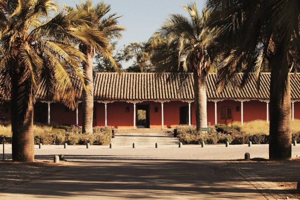 Viña Santa Rita se convierte en la mejor experiencia enoturística de Chile