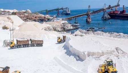 Sal chilena en Nueva York: abogados afirman que TLC con EEUU permitirá a productores nacionales seguir exportando