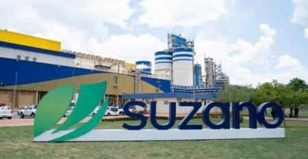 Los focos de Suzano para el próximo quinquenio: potenciar el cartón corrugado y crecer en China