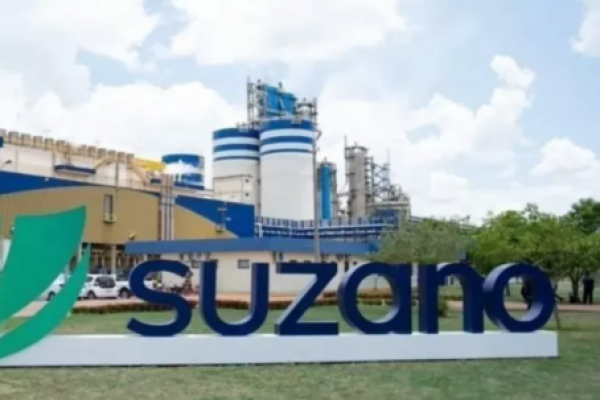 Los focos del gigante brasileño Suzano para el próximo quinquenio: potenciar el cartón corrugado y crecer en China