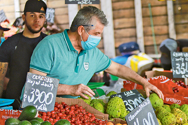 Boom en la producción de cerezas: crecen las exportaciones y precios en Chile caen más de 30%