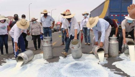Protestas en Perú: se pierden más de 600.000 litros de leche al día tras cierre de plantas de Gloria y Laive