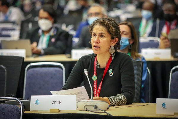 Ministra de Medio Ambiente, Maisa Rojas en la COP15 de Biodiversidad.