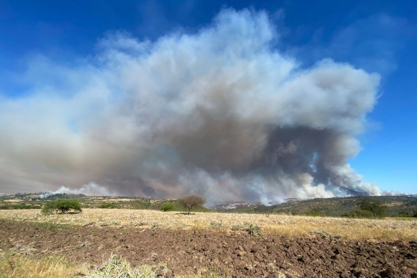 Incendio forestal en Melipilla