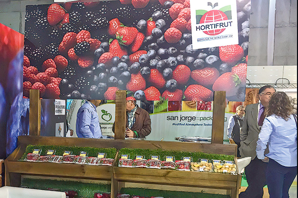 <p>Los inversionistas minoritarios de Hortifrut que decidirán el futuro de la OPA</p>