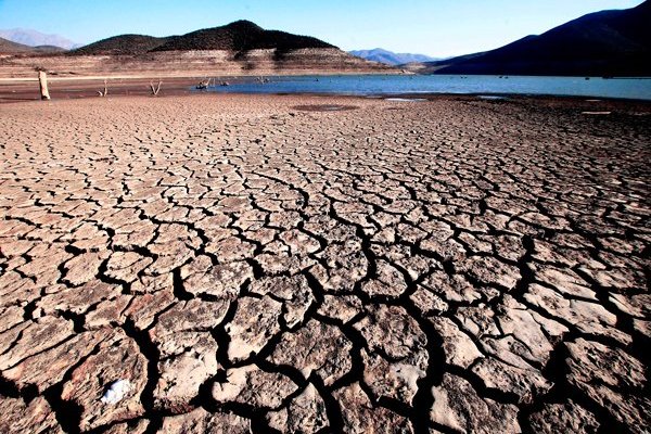 Pacto histórico en la COP15 de Biodiversidad: países cierran ambicioso acuerdo para proteger el 30% del planeta