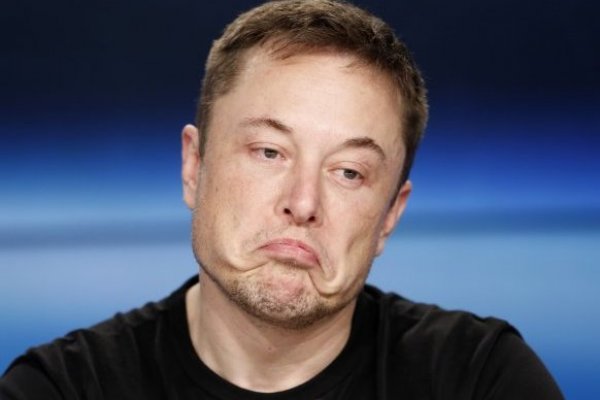 Musk lanza una encuesta sobre si debe seguir dirigiendo Twitter
