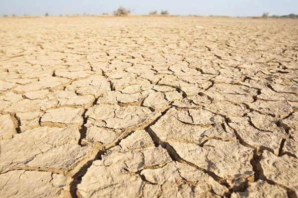 Gobierno de EEUU promete US$ 85 millones para combatir la peor sequía en 1.200 años