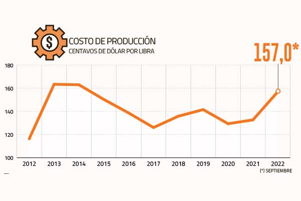 Crisis en Codelco: Apuntan a atraso en proyectos estructurales y gestión