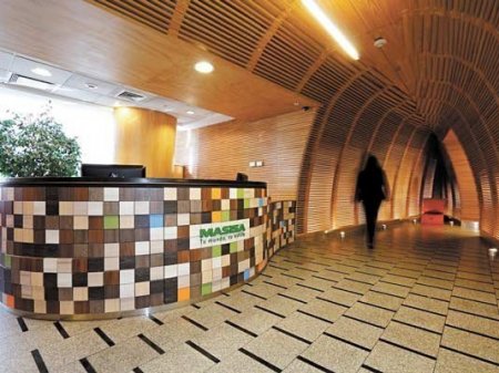 Chilena Masisa se desprende de la totalidad de los activos forestales que tenía en Argentina