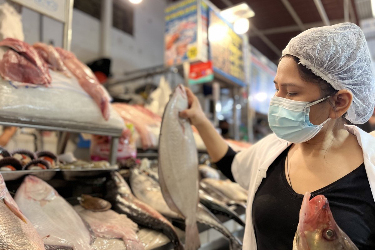 <p>Chilean sea bass: el pescado que enfrenta a grupo empresarial chileno con distribuidor norteamericano</p>