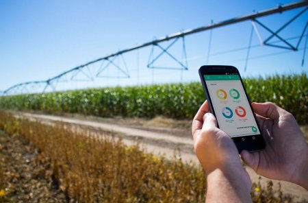 La historia de aciertos y errores detrás de la creación de la startup agrícola argentina Kilimo