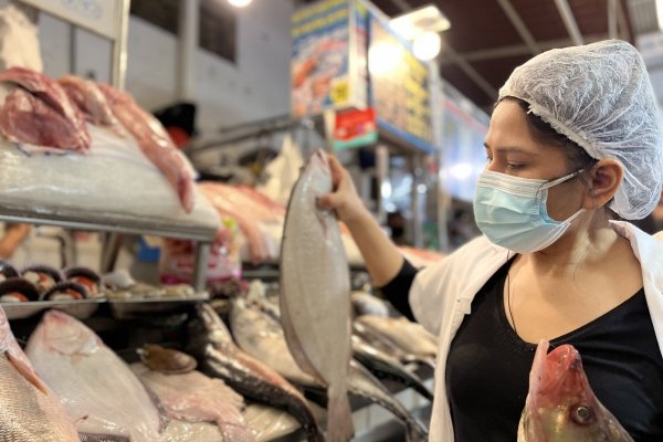 Chilean sea bass: el pescado que enfrenta a grupo empresarial chileno con distribuidor norteamericano