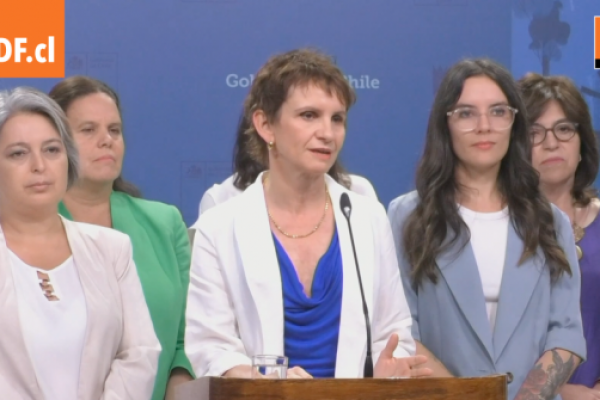 <p>Ahora en DF | Ministra Tohá: “El Gobierno va a poner toda su energía para que esta vez sí la reforma previsional vea la luz"</p>