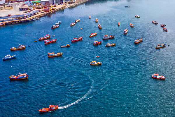Las conversaciones entre Gobierno e industriales para la nueva Ley de Pesca