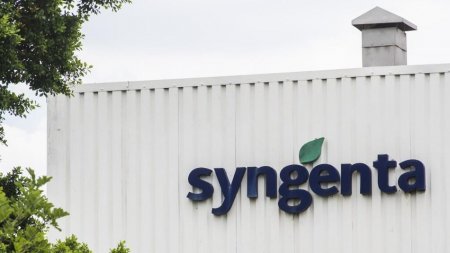 Organismo de libre competencia de Argentina aprueba la fusión de Syngenta y Nidera