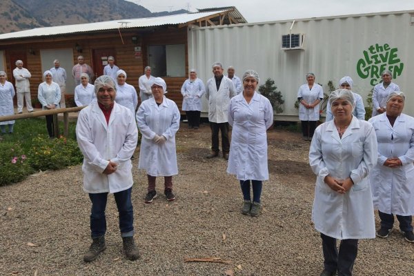 The Live Green Co. vs Epullén: el fracaso de una fusión que llegó a tribunales